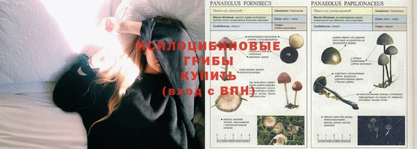 спиды Богородск