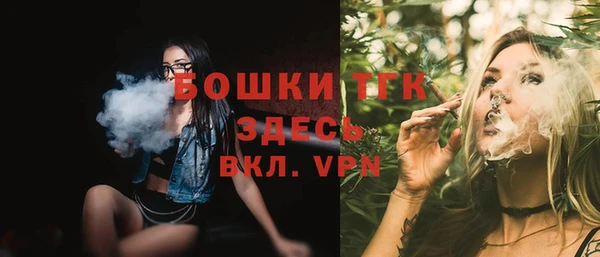 спиды Богородск