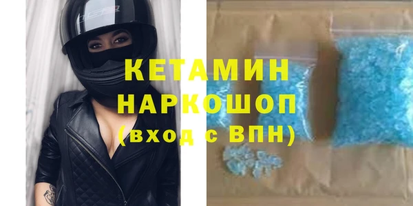 дмт Богданович