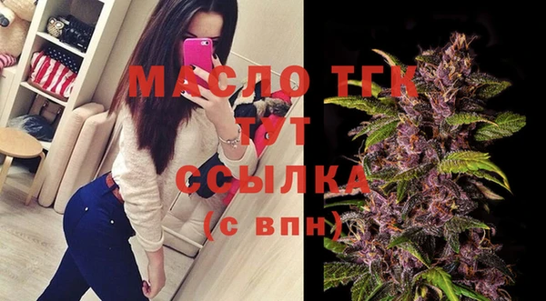 спиды Богородск