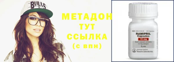 дмт Богданович