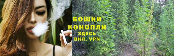 спиды Богородск