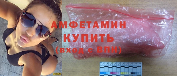 дмт Богданович