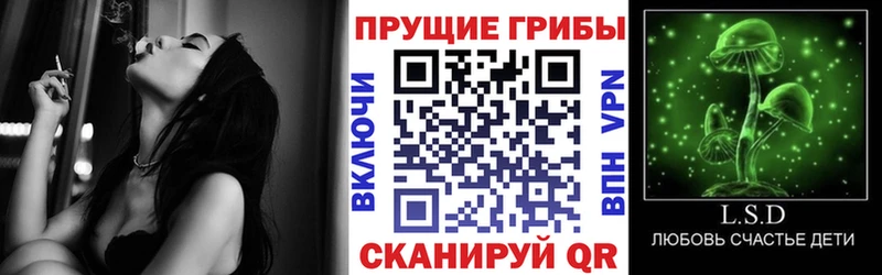наркошоп Навашино Галлюциногенные грибы Psilocybine cubensis